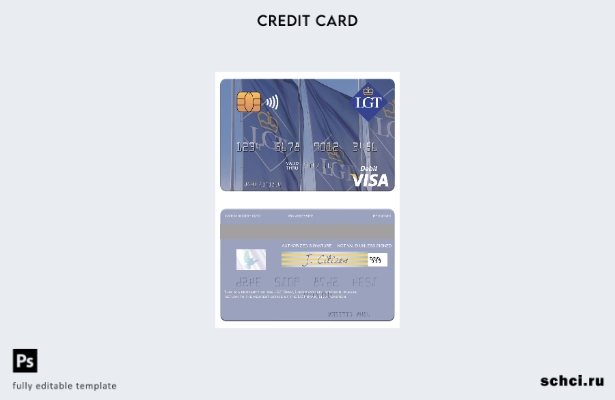 цифровая загрузка шаблона дебетовой карты Visa LGT Bank в Лихтенштейне